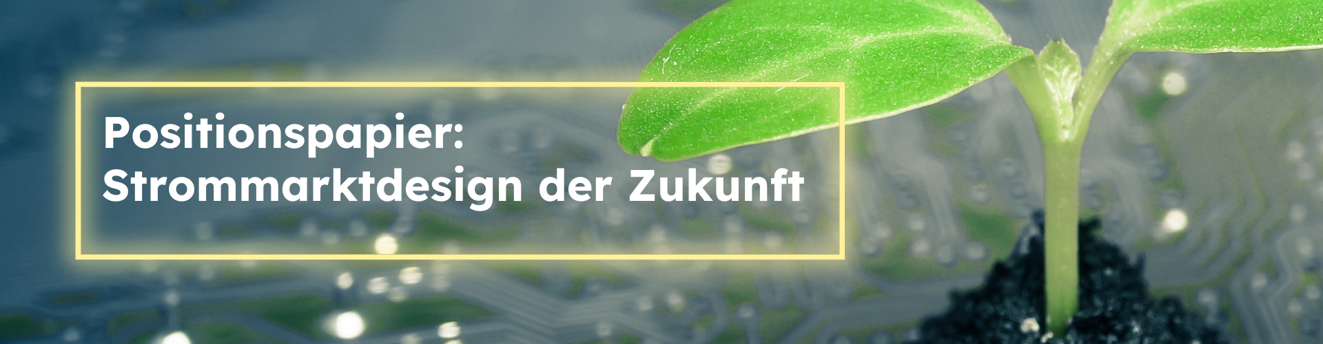 Strommarkt der Zukunft braucht mehr Bürgerenergie!